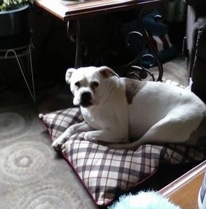 Meet your Posher, Barbara